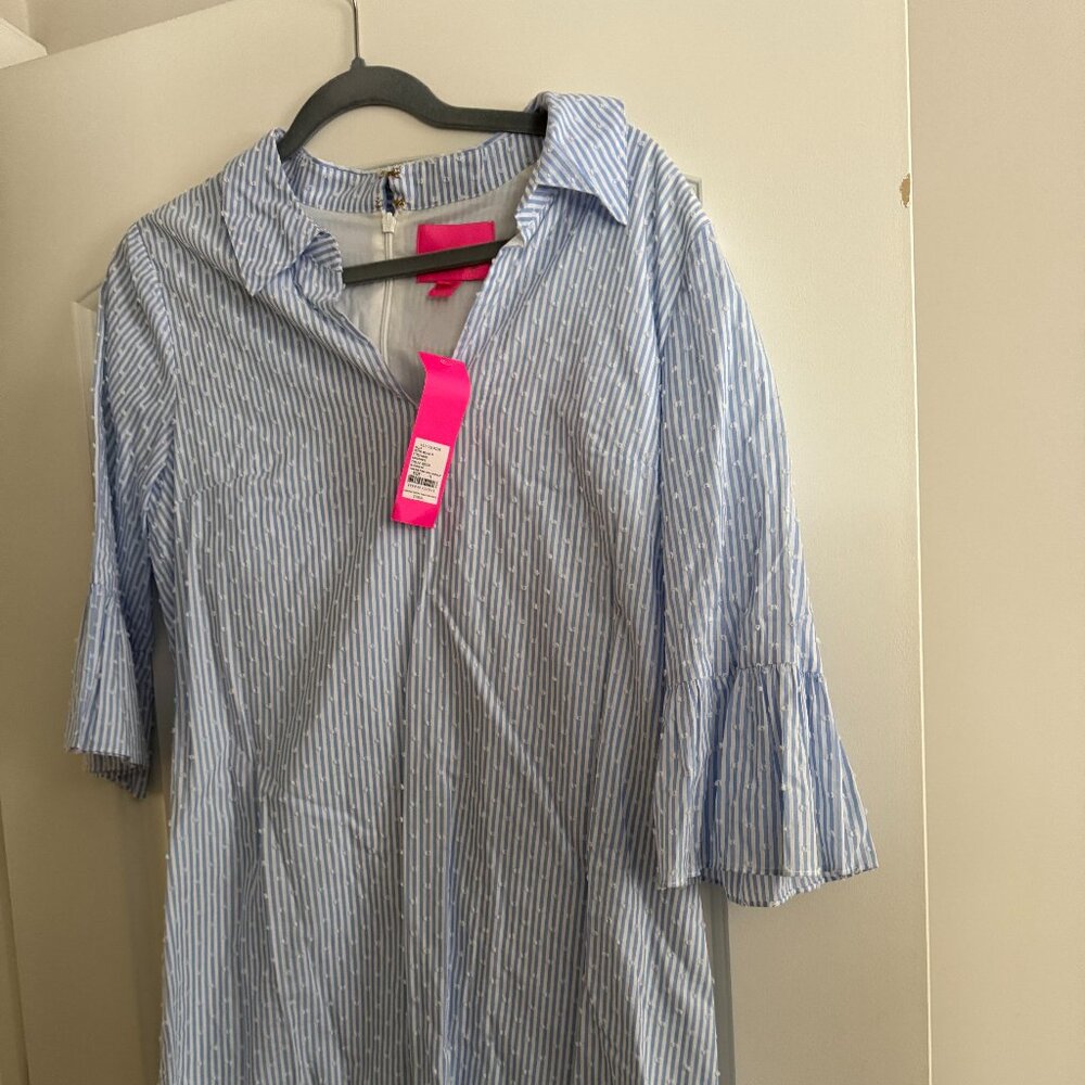 NWT Lilly Pulitzer Ginger Dress Size 10